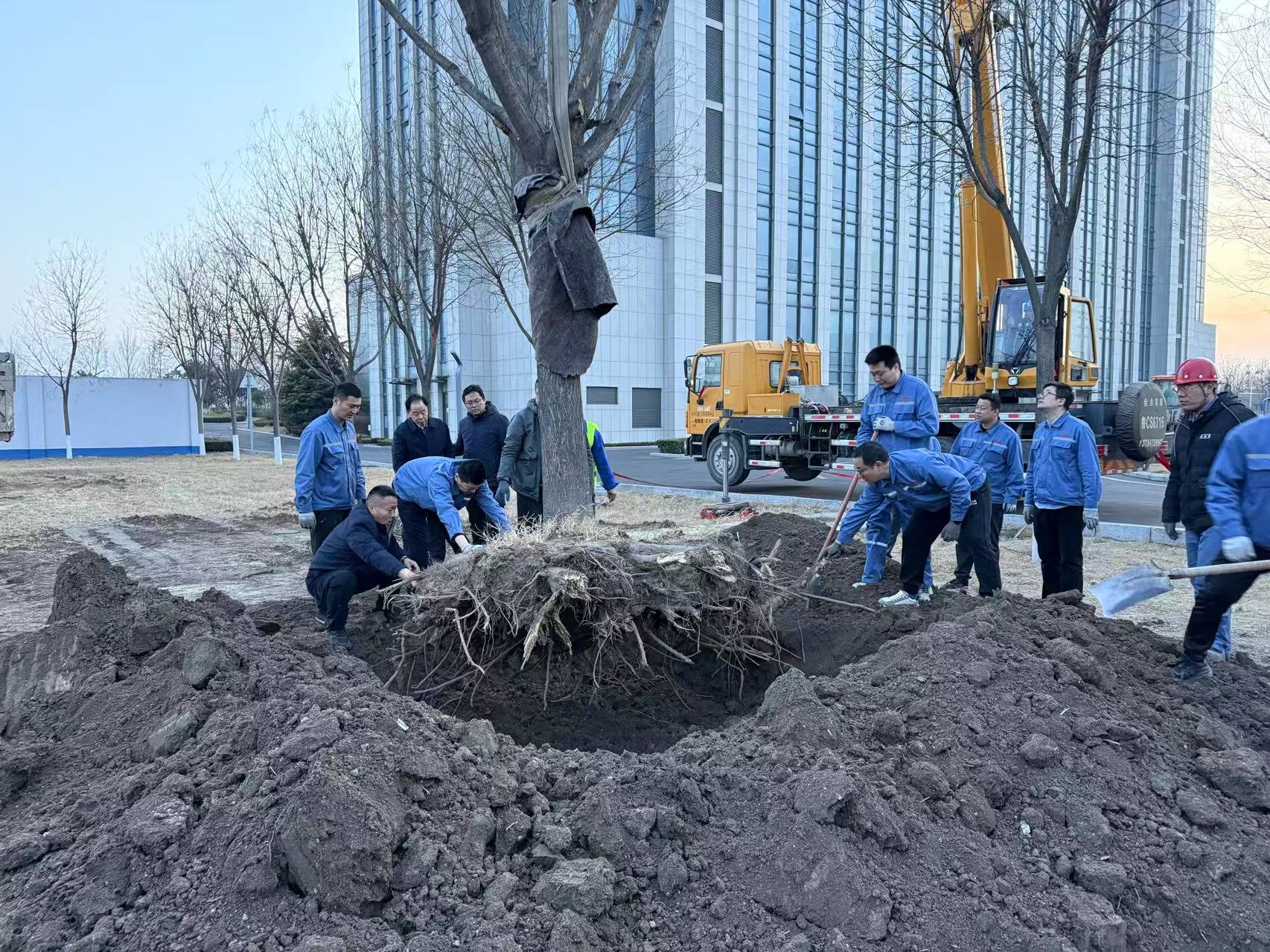 2025年3月1日龙8官方网站干部职工合力栽下新春第一树